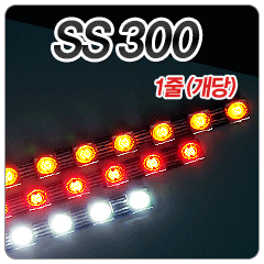 SS300 Ŀ̵(DIYŶ)